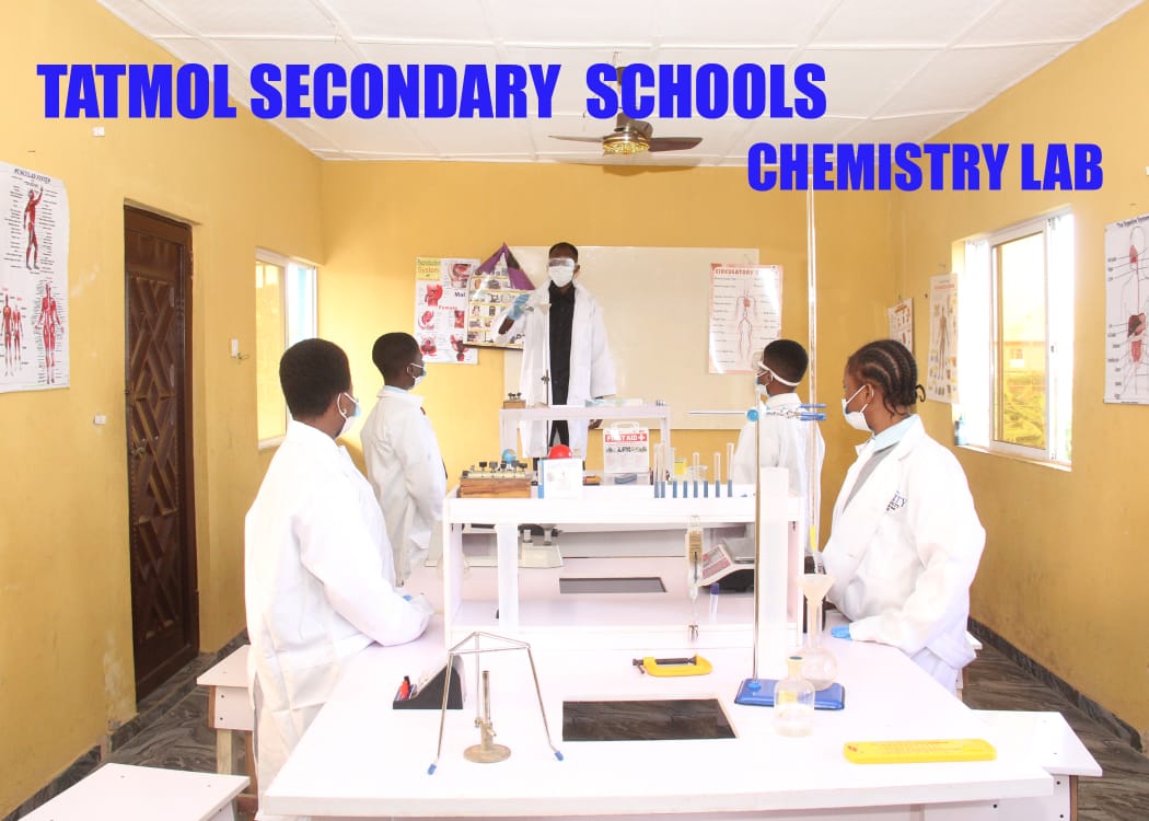 Students in the chemistry lab